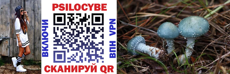 Купить закладки  Советский  Псилоцибиновые грибы мухоморы 